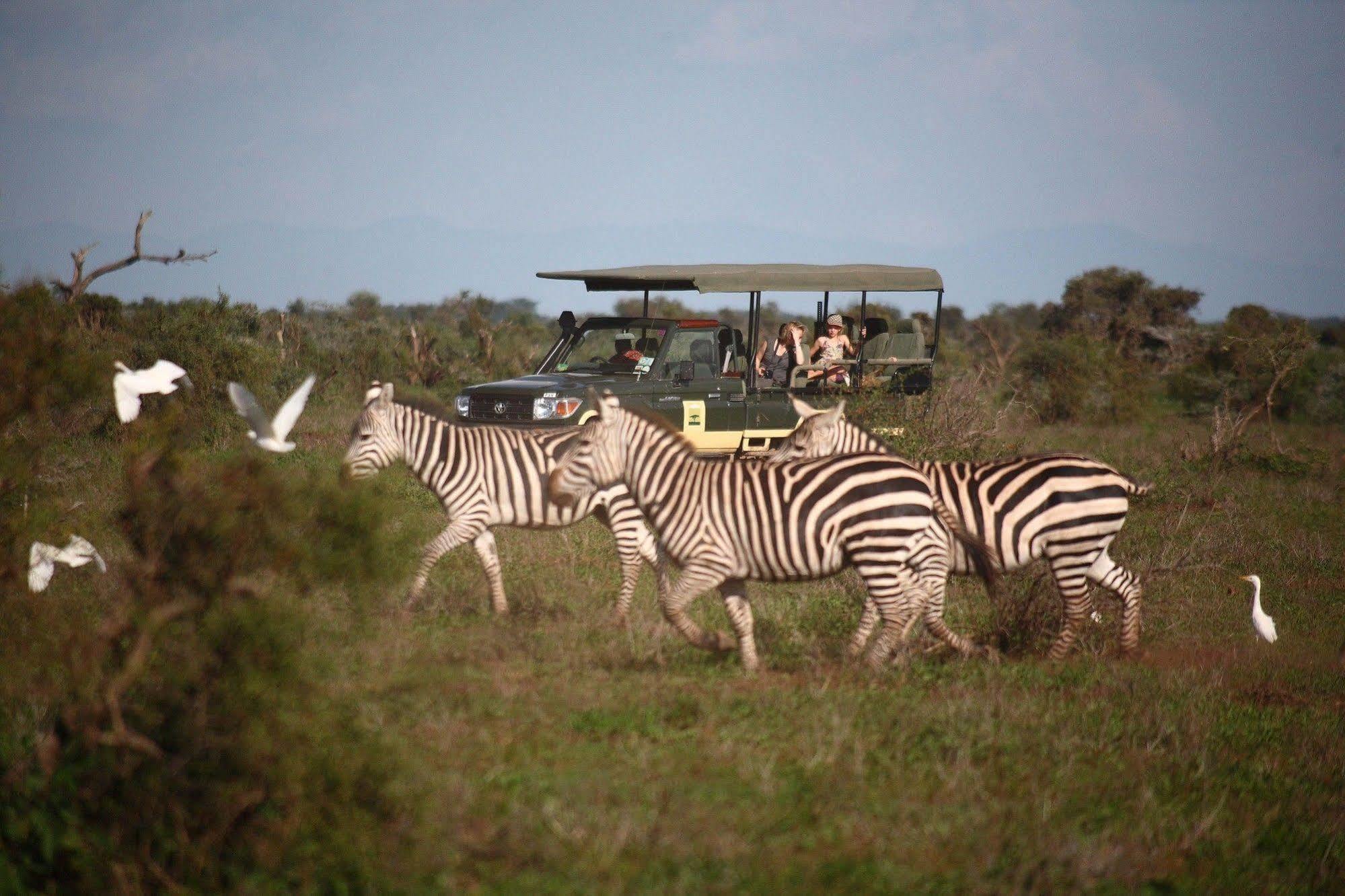 Hotel Elewana Tortilis Camp Amboseli Esterno foto